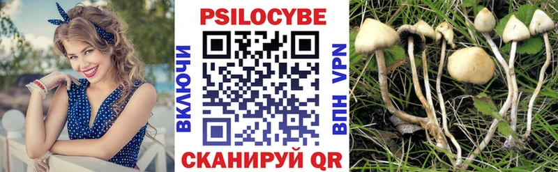 Псилоцибиновые грибы Cubensis  Первомайск 